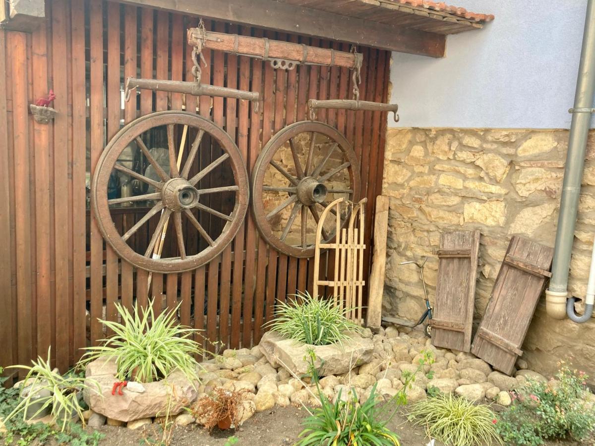 Cocon A Colombage Alsacien 